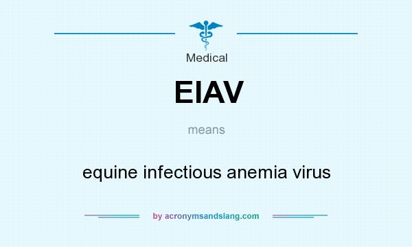 What does EIAV mean? It stands for equine infectious anemia virus
