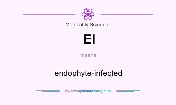 What does EI mean? It stands for endophyte-infected