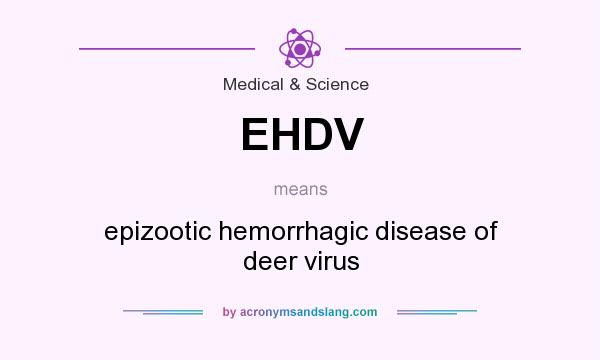 What does EHDV mean? It stands for epizootic hemorrhagic disease of deer virus