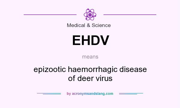 What does EHDV mean? It stands for epizootic haemorrhagic disease of deer virus
