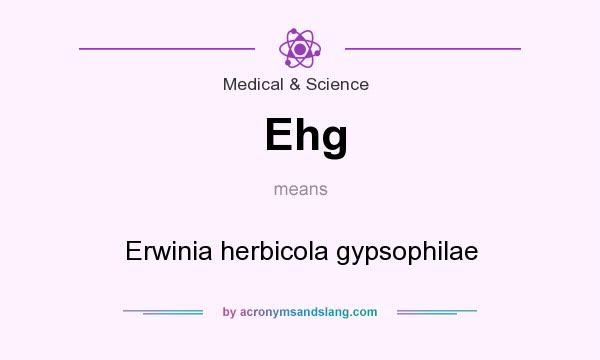 What does Ehg mean? It stands for Erwinia herbicola gypsophilae