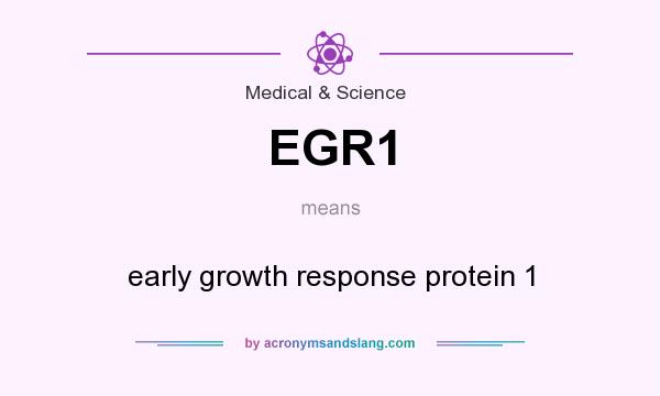 What does EGR1 mean? It stands for early growth response protein 1