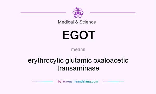 What does EGOT mean? It stands for erythrocytic glutamic oxaloacetic transaminase