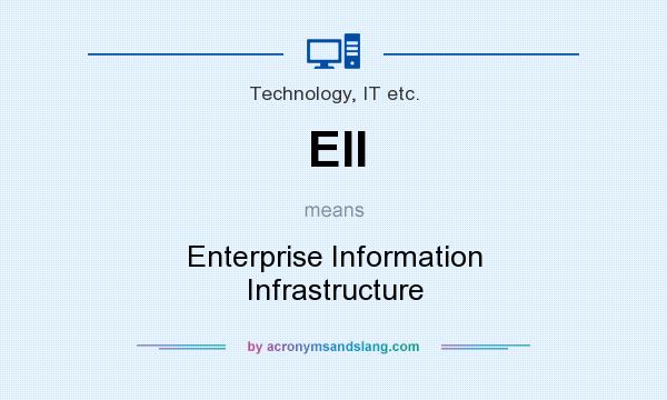 What does EII mean? It stands for Enterprise Information Infrastructure