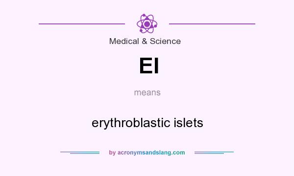 What does EI mean? It stands for erythroblastic islets