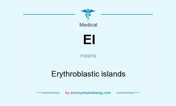 What does EI mean? It stands for Erythroblastic islands