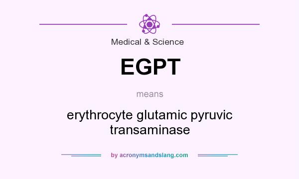 What does EGPT mean? It stands for erythrocyte glutamic pyruvic transaminase