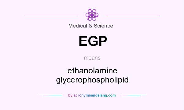 What does EGP mean? It stands for ethanolamine glycerophospholipid