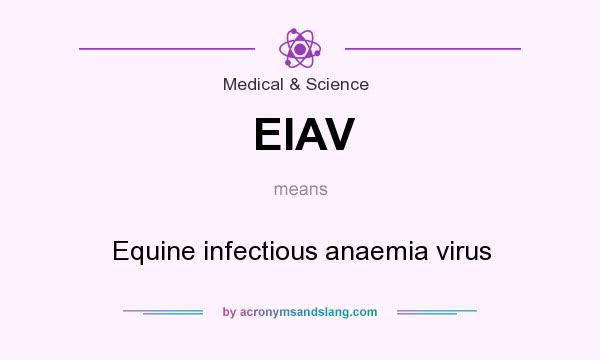 What does EIAV mean? It stands for Equine infectious anaemia virus