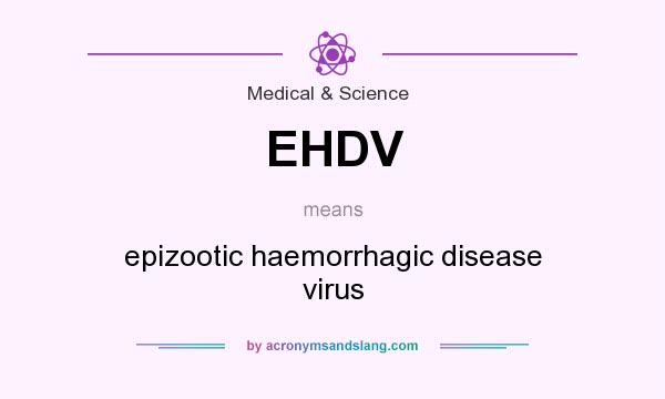 What does EHDV mean? It stands for epizootic haemorrhagic disease virus