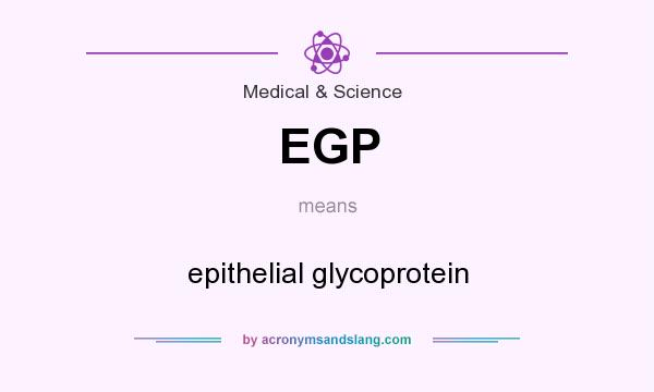 What does EGP mean? It stands for epithelial glycoprotein