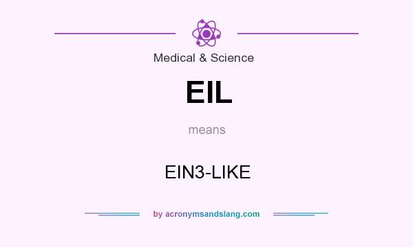 What does EIL mean? It stands for EIN3-LIKE