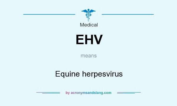 What does EHV mean? It stands for Equine herpesvirus
