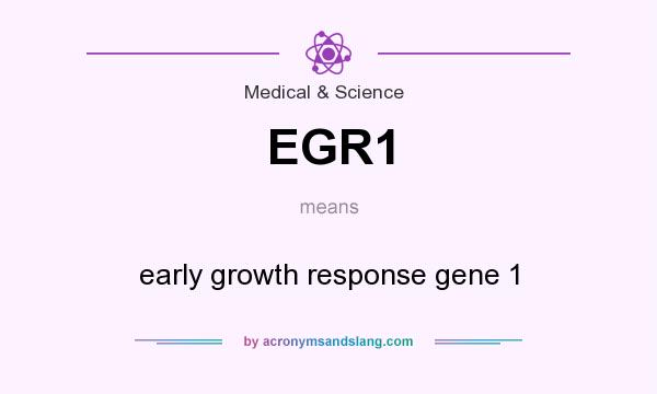 What does EGR1 mean? It stands for early growth response gene 1
