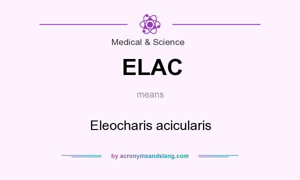 What does ELAC mean? It stands for Eleocharis acicularis
