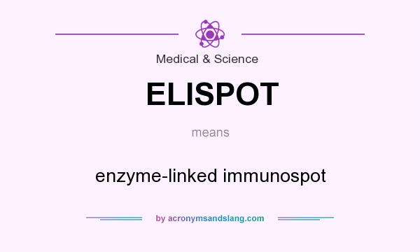 What does ELISPOT mean? It stands for enzyme-linked immunospot