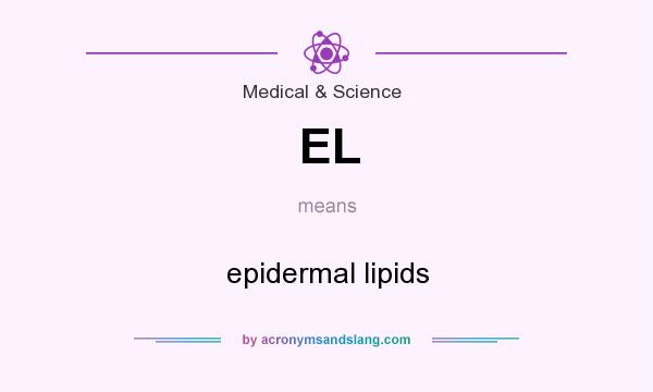 What does EL mean? It stands for epidermal lipids