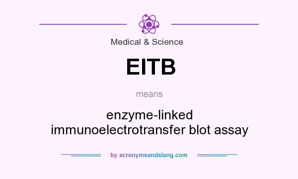 What does EITB mean? It stands for enzyme-linked immunoelectrotransfer blot assay