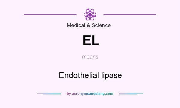 What does EL mean? It stands for Endothelial lipase