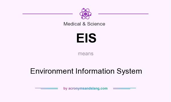 What does EIS mean? It stands for Environment Information System