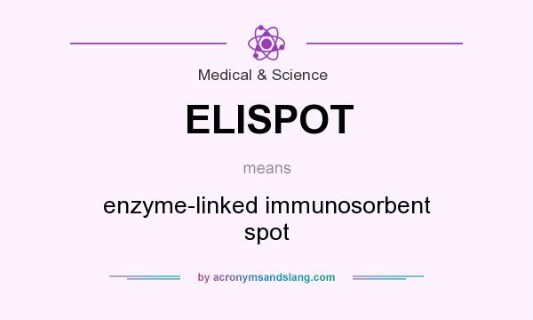 What does ELISPOT mean? It stands for enzyme-linked immunosorbent spot