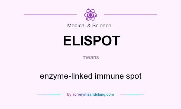 What does ELISPOT mean? It stands for enzyme-linked immune spot
