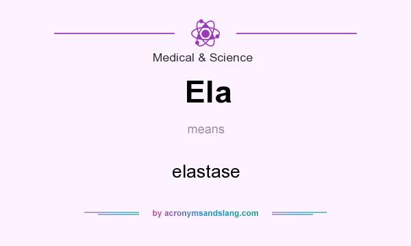 What does Ela mean? It stands for elastase