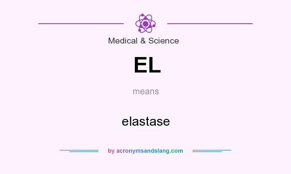 What does EL mean? It stands for elastase
