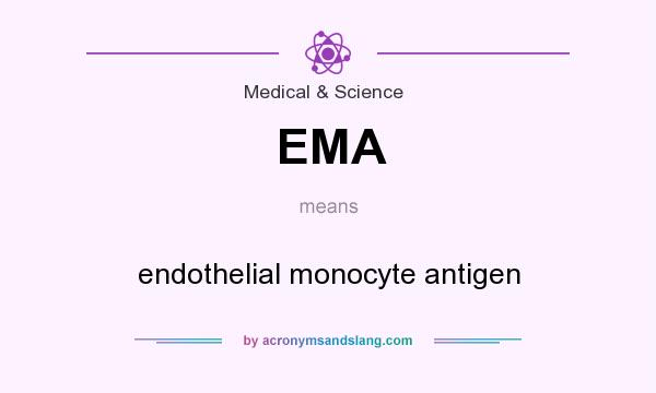 What does EMA mean? It stands for endothelial monocyte antigen