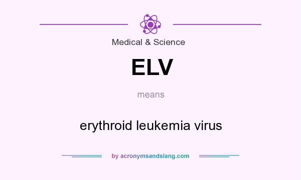 What does ELV mean? It stands for erythroid leukemia virus