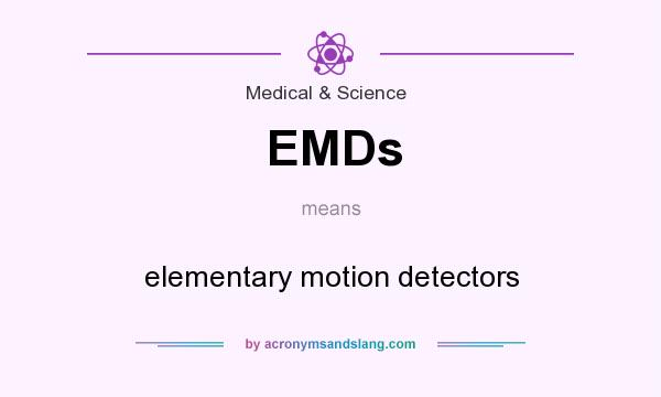 What does EMDs mean? It stands for elementary motion detectors