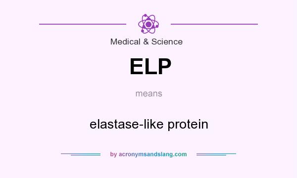 What does ELP mean? It stands for elastase-like protein