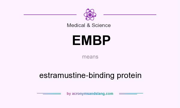 What does EMBP mean? It stands for estramustine-binding protein