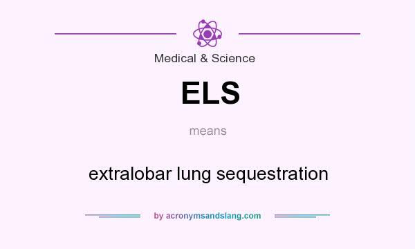 What does ELS mean? It stands for extralobar lung sequestration