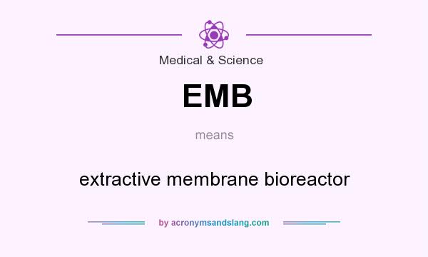 What does EMB mean? It stands for extractive membrane bioreactor