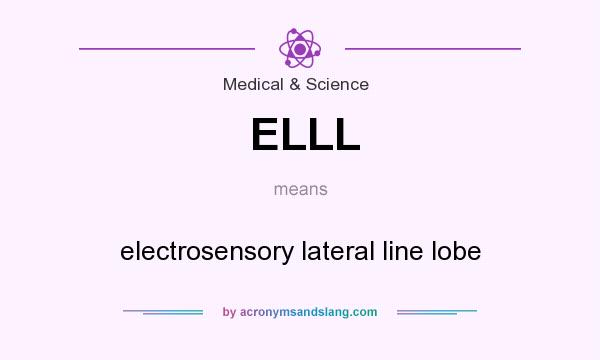 What does ELLL mean? It stands for electrosensory lateral line lobe