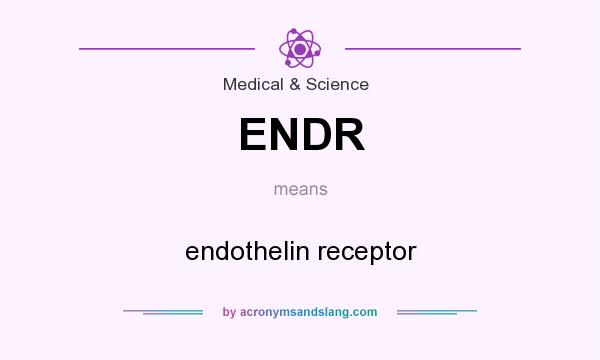 What does ENDR mean? It stands for endothelin receptor