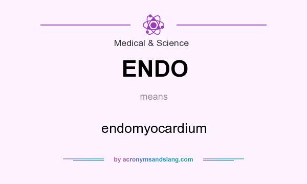 What does ENDO mean? It stands for endomyocardium
