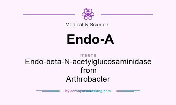 What does Endo-A mean? It stands for Endo-beta-N-acetylglucosaminidase from Arthrobacter