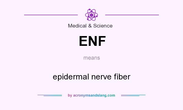 What does ENF mean? It stands for epidermal nerve fiber