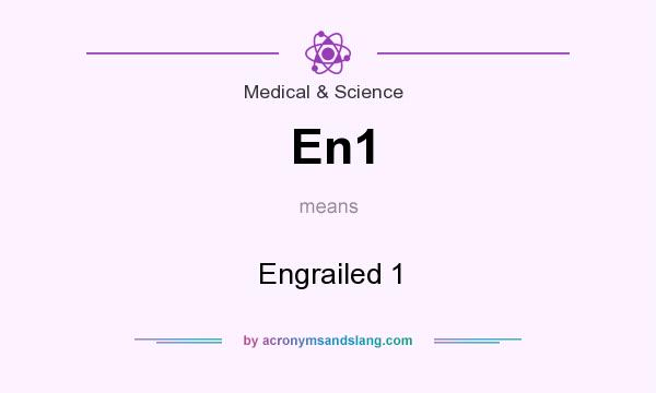 What does En1 mean? It stands for Engrailed 1
