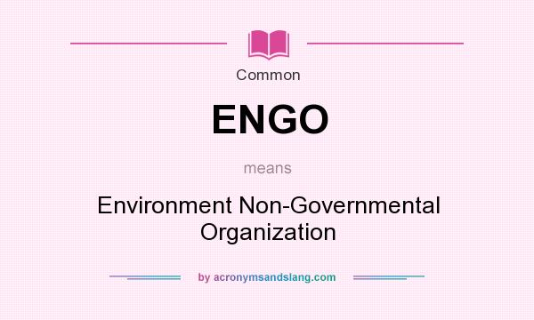 What does ENGO mean? It stands for Environment Non-Governmental Organization