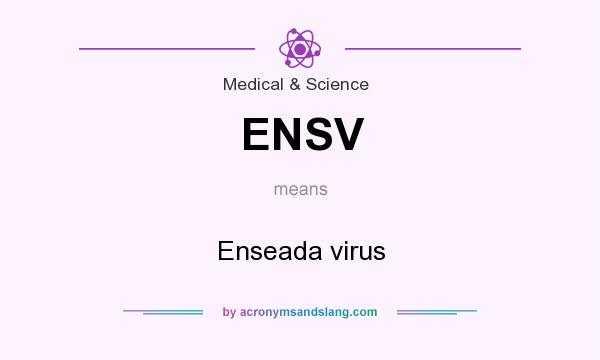 What does ENSV mean? It stands for Enseada virus
