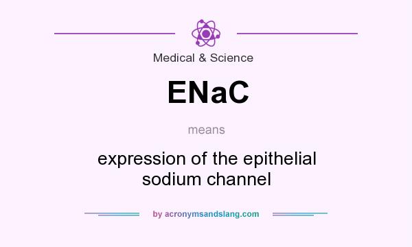 What does ENaC mean? It stands for expression of the epithelial sodium channel