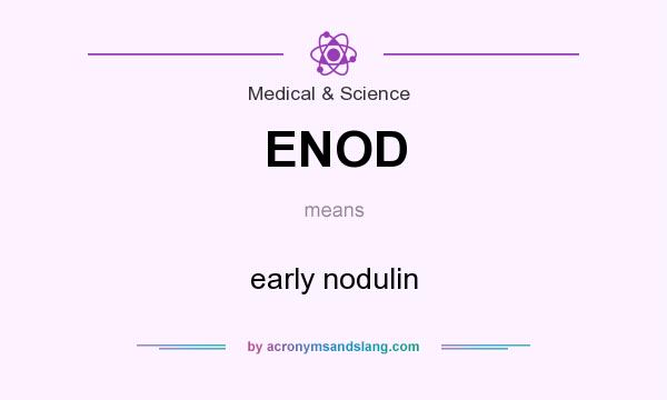 What does ENOD mean? It stands for early nodulin