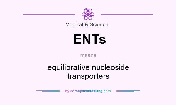 What does ENTs mean? It stands for equilibrative nucleoside transporters