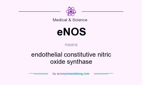 What does eNOS mean? It stands for endothelial constitutive nitric oxide synthase