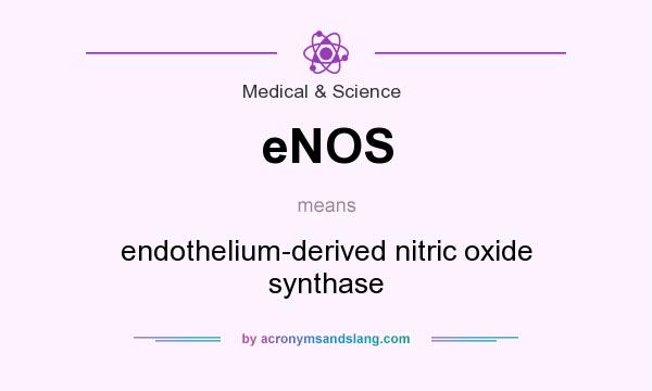 What does eNOS mean? It stands for endothelium-derived nitric oxide synthase