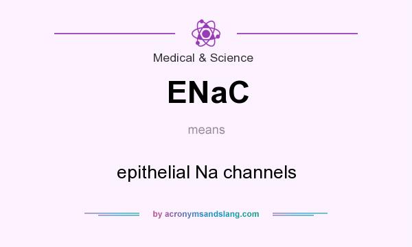 What does ENaC mean? It stands for epithelial Na channels