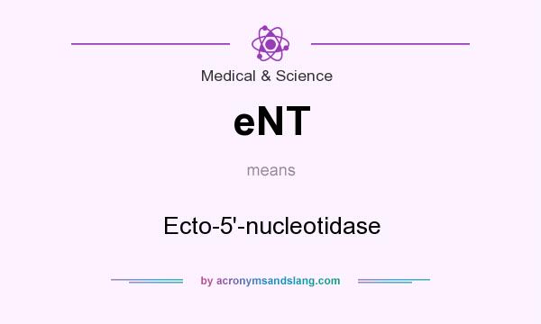 What does eNT mean? It stands for Ecto-5`-nucleotidase
